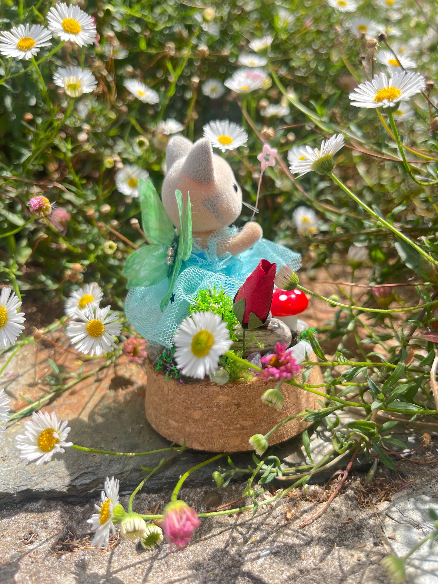 Tilly Toadstool