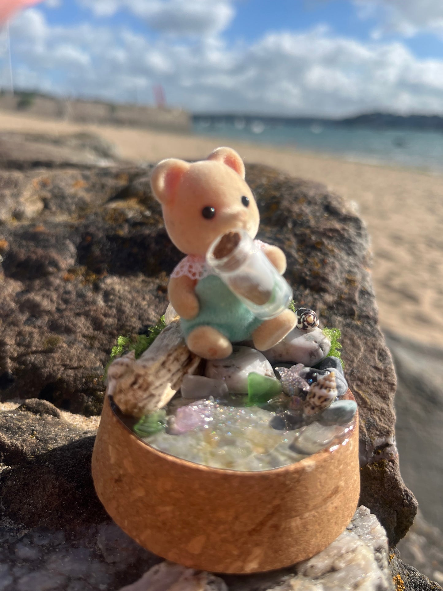 Bertie Bear Seaglass Collector – Tiny Tails Under Glass