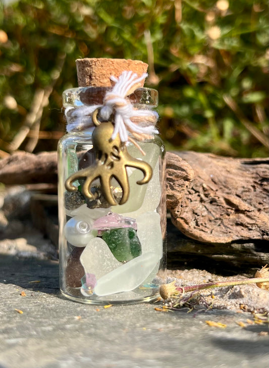 The Octopus's Secret Wish Jar