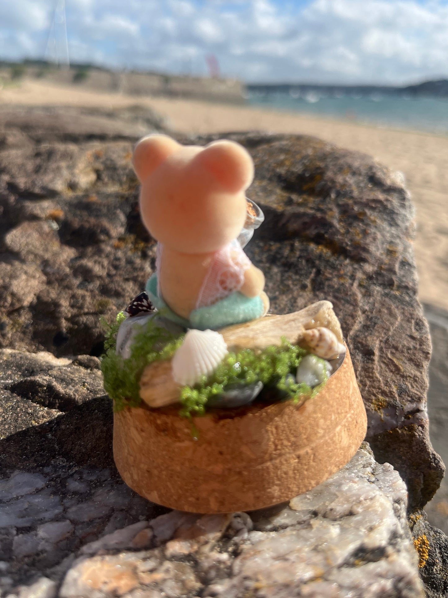 Bertie Bear Seaglass Collector – Tiny Tails Under Glass