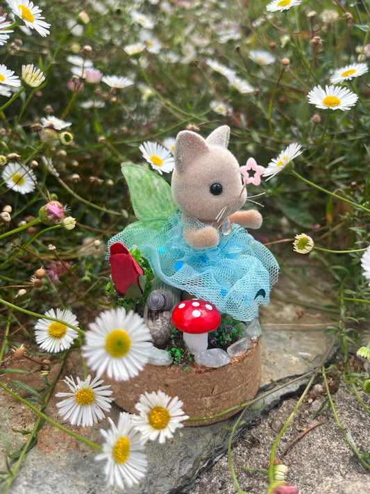 Tilly Toadstool
