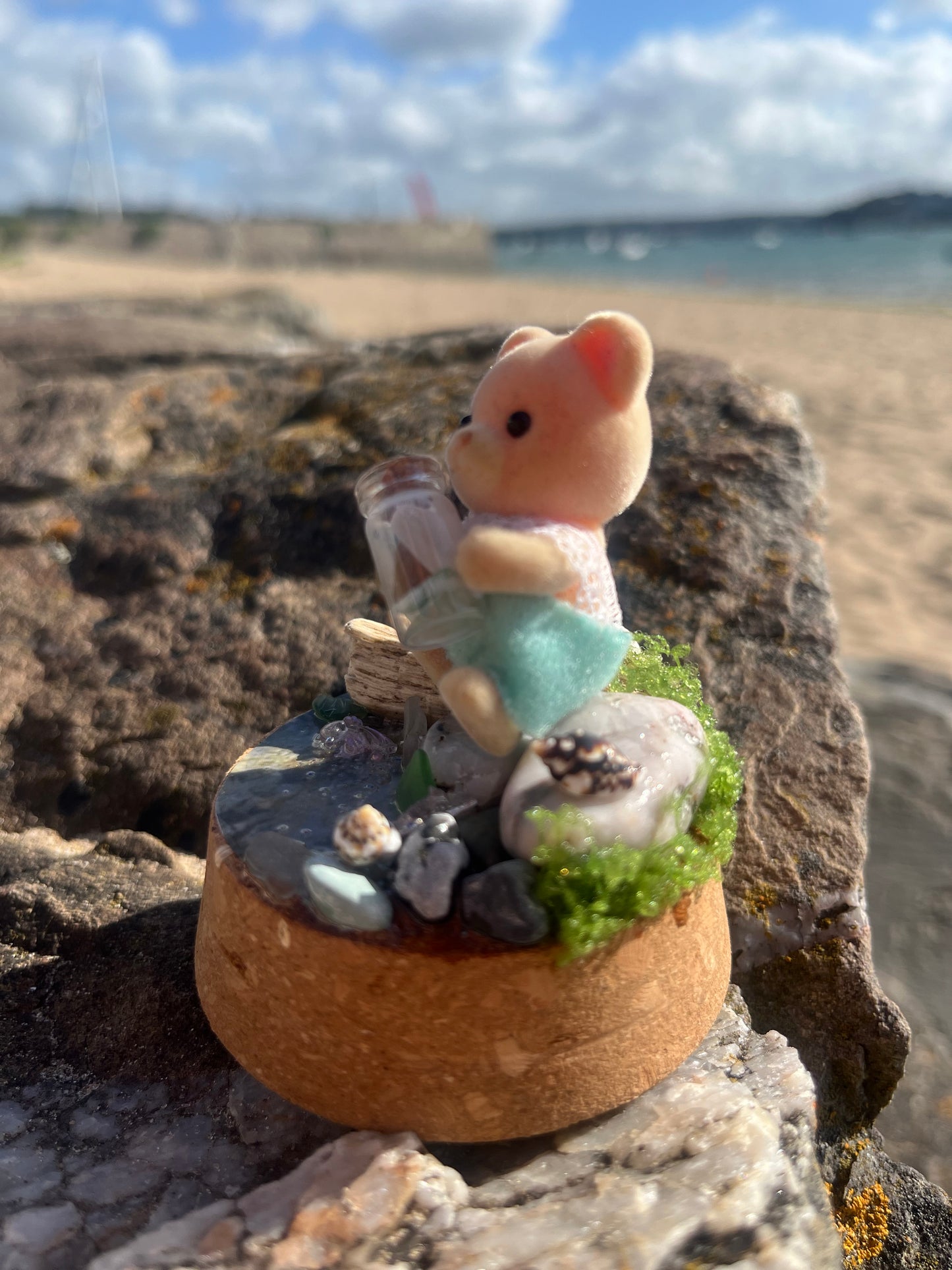 Bertie Bear Seaglass Collector – Tiny Tails Under Glass