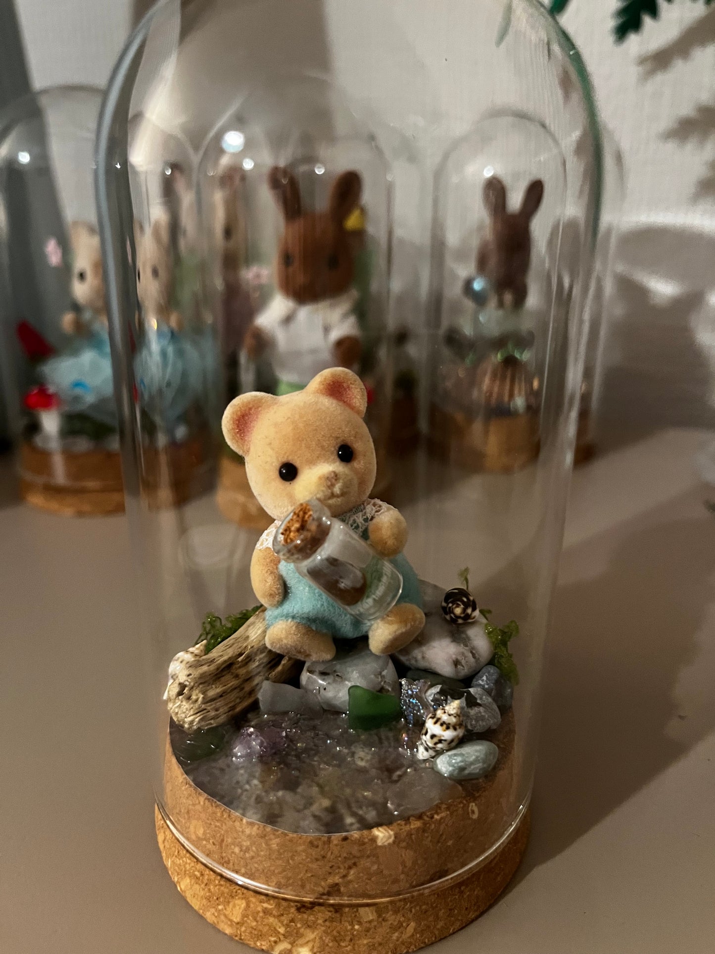 Bertie Bear Seaglass Collector – Tiny Tails Under Glass