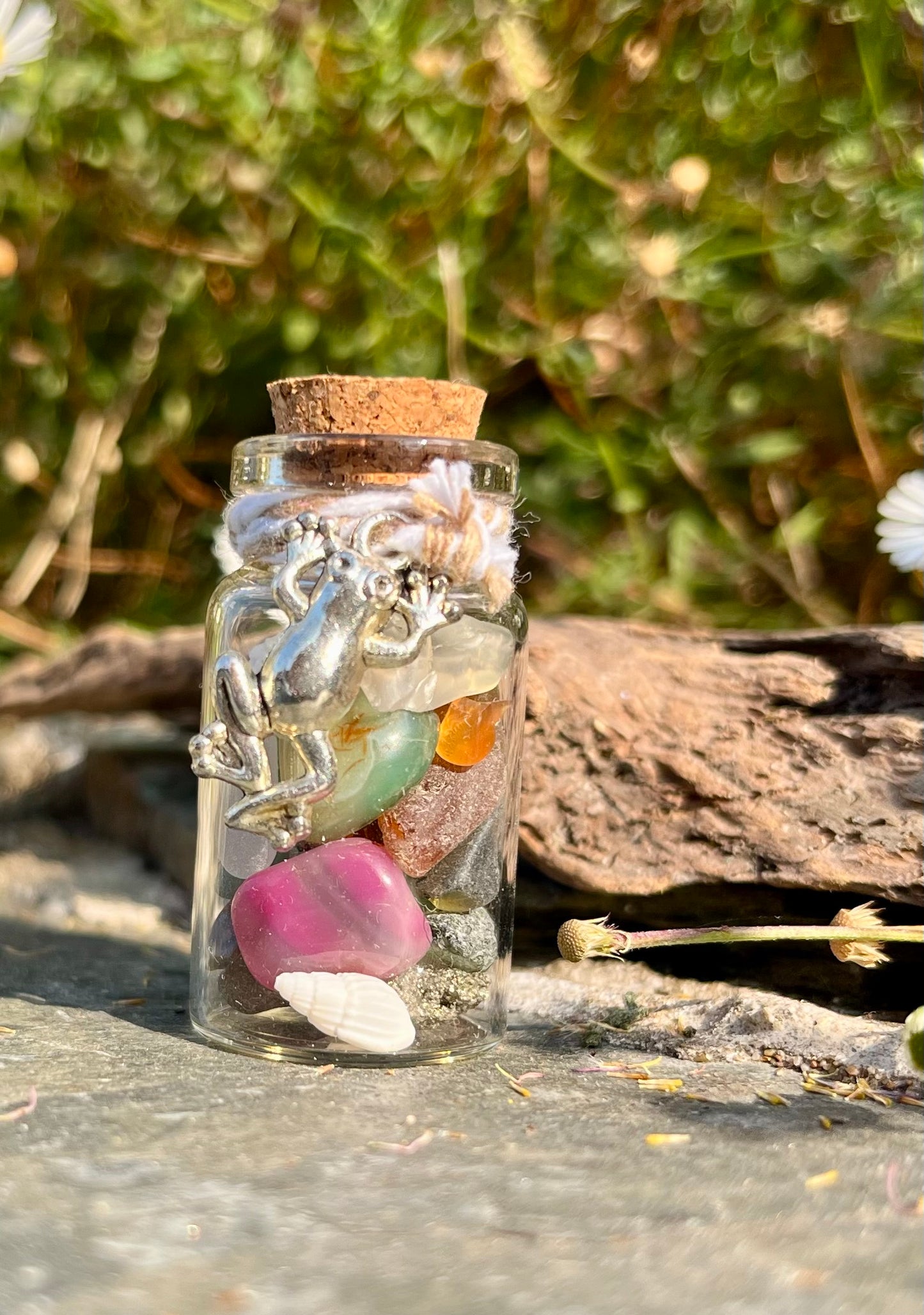Froggy Witch Wish Jar