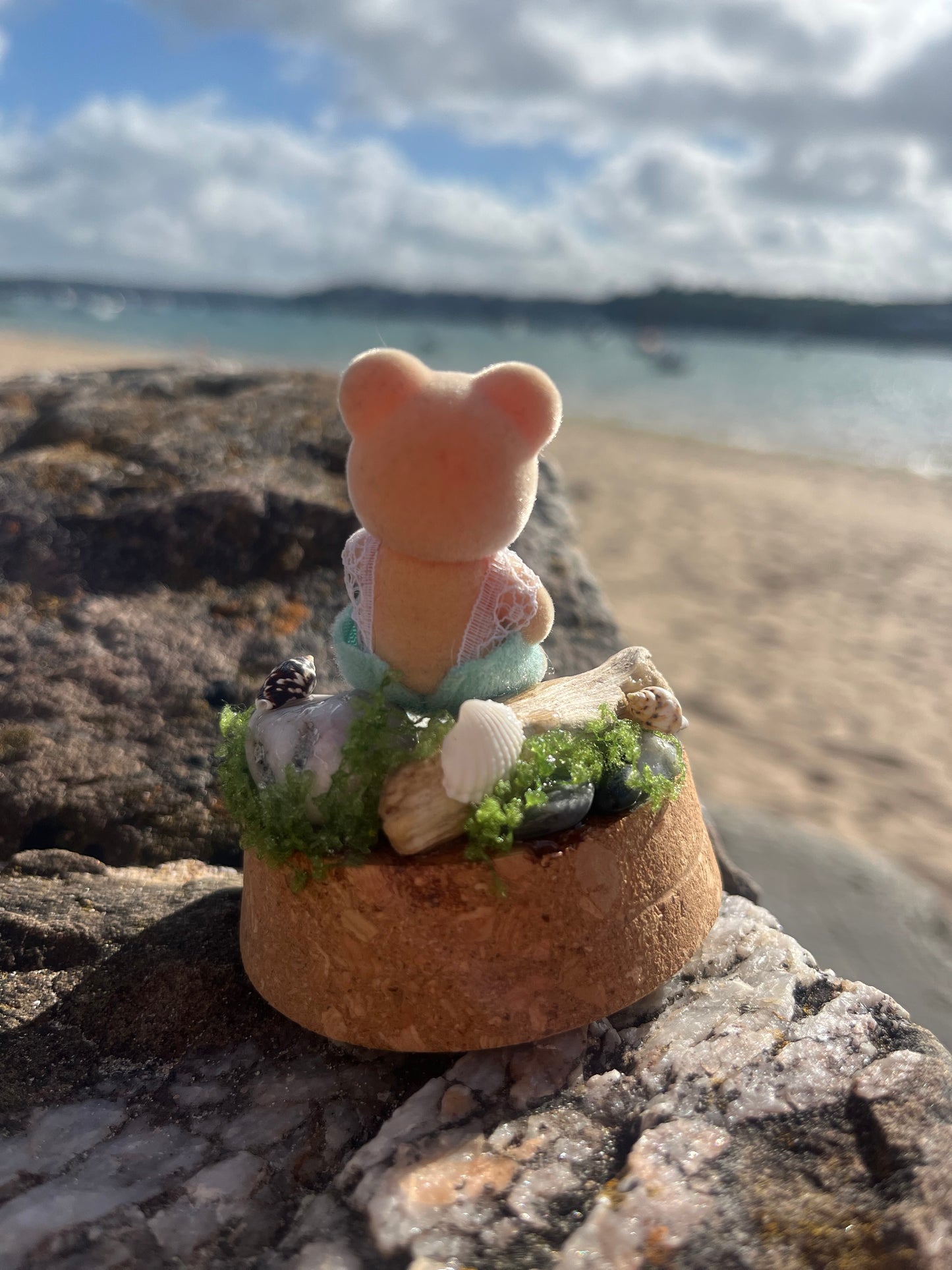 Bertie Bear Seaglass Collector – Tiny Tails Under Glass