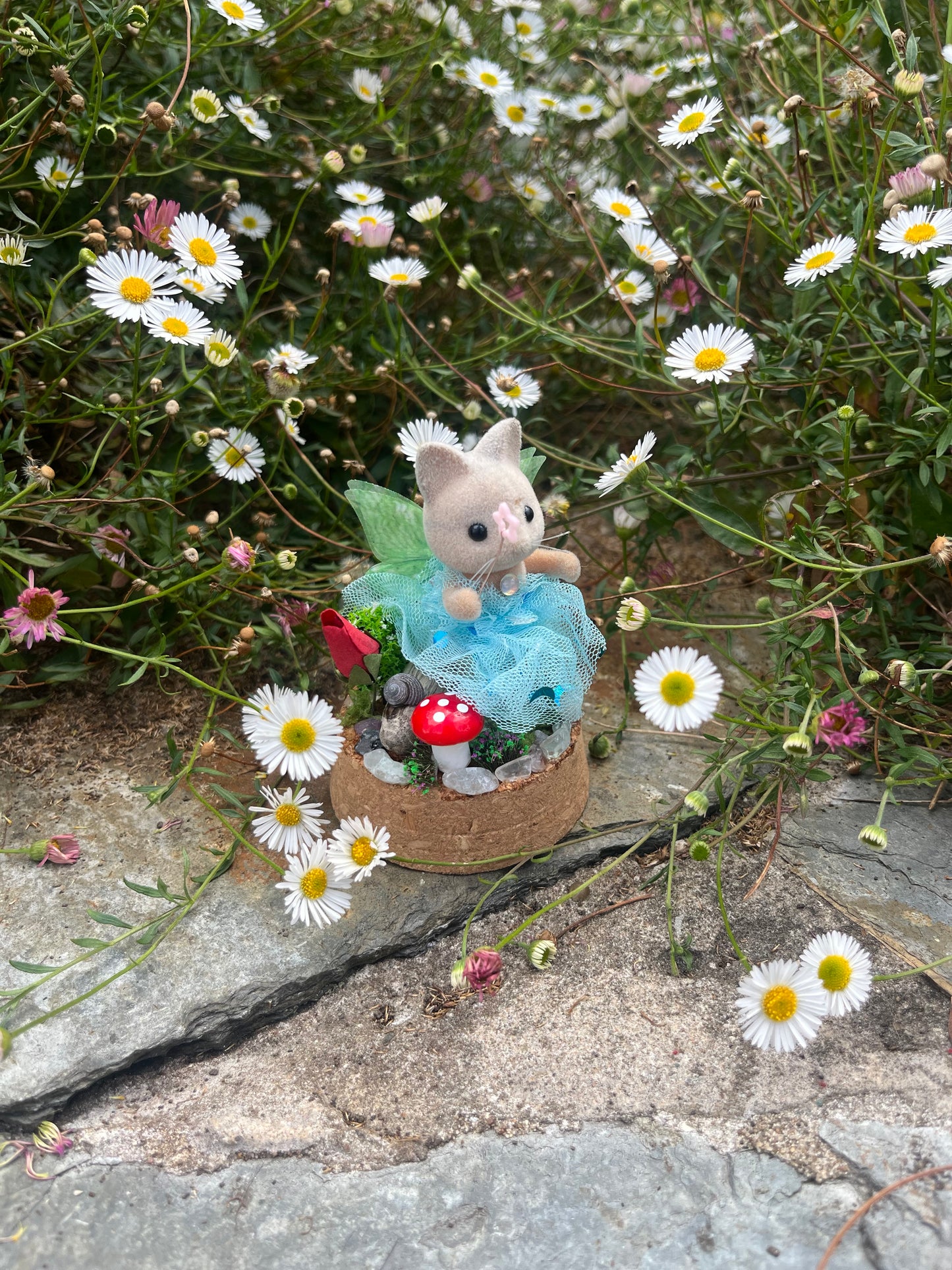 Tilly Toadstool