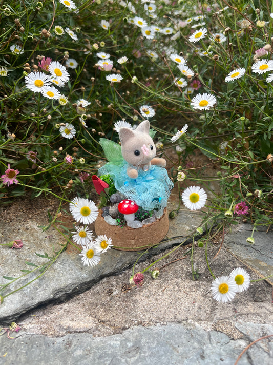 Tilly Toadstool