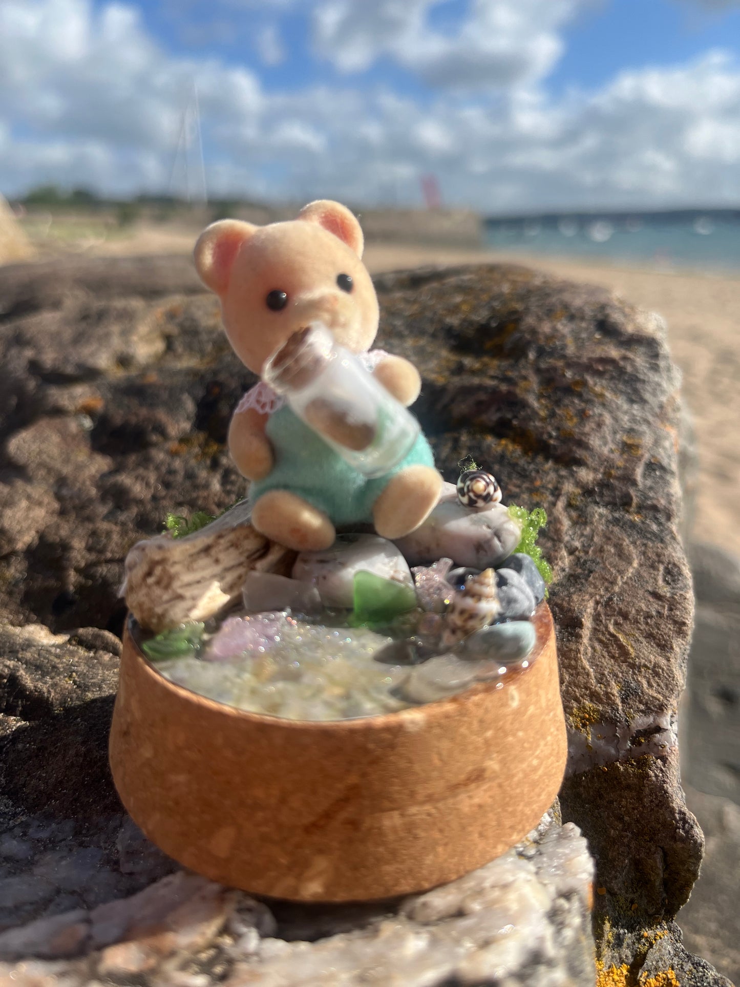 Bertie Bear Seaglass Collector – Tiny Tails Under Glass