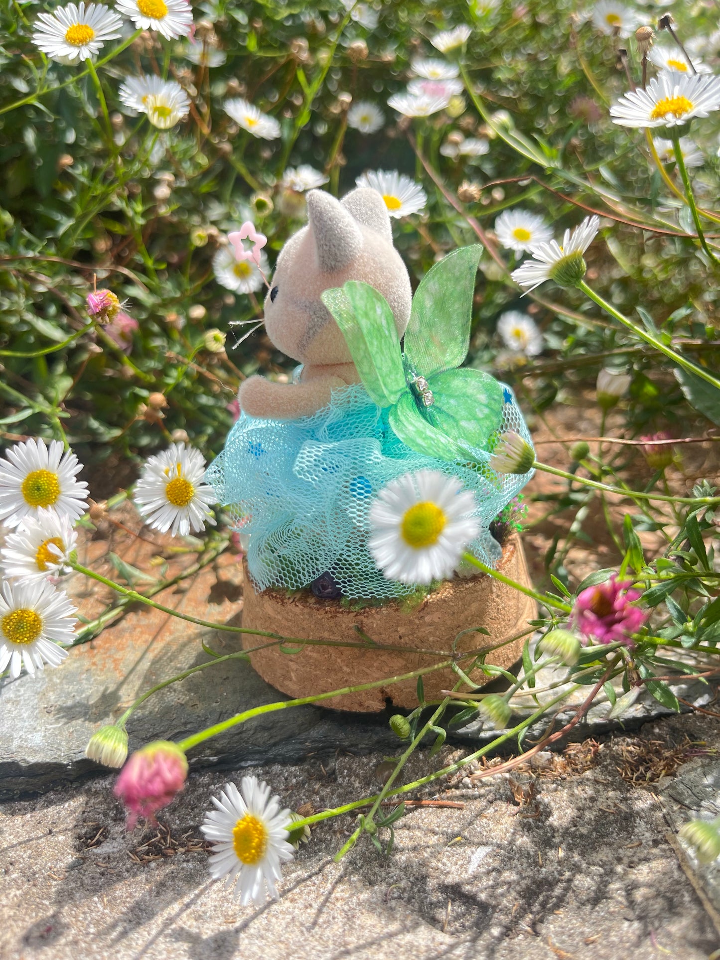 Tilly Toadstool
