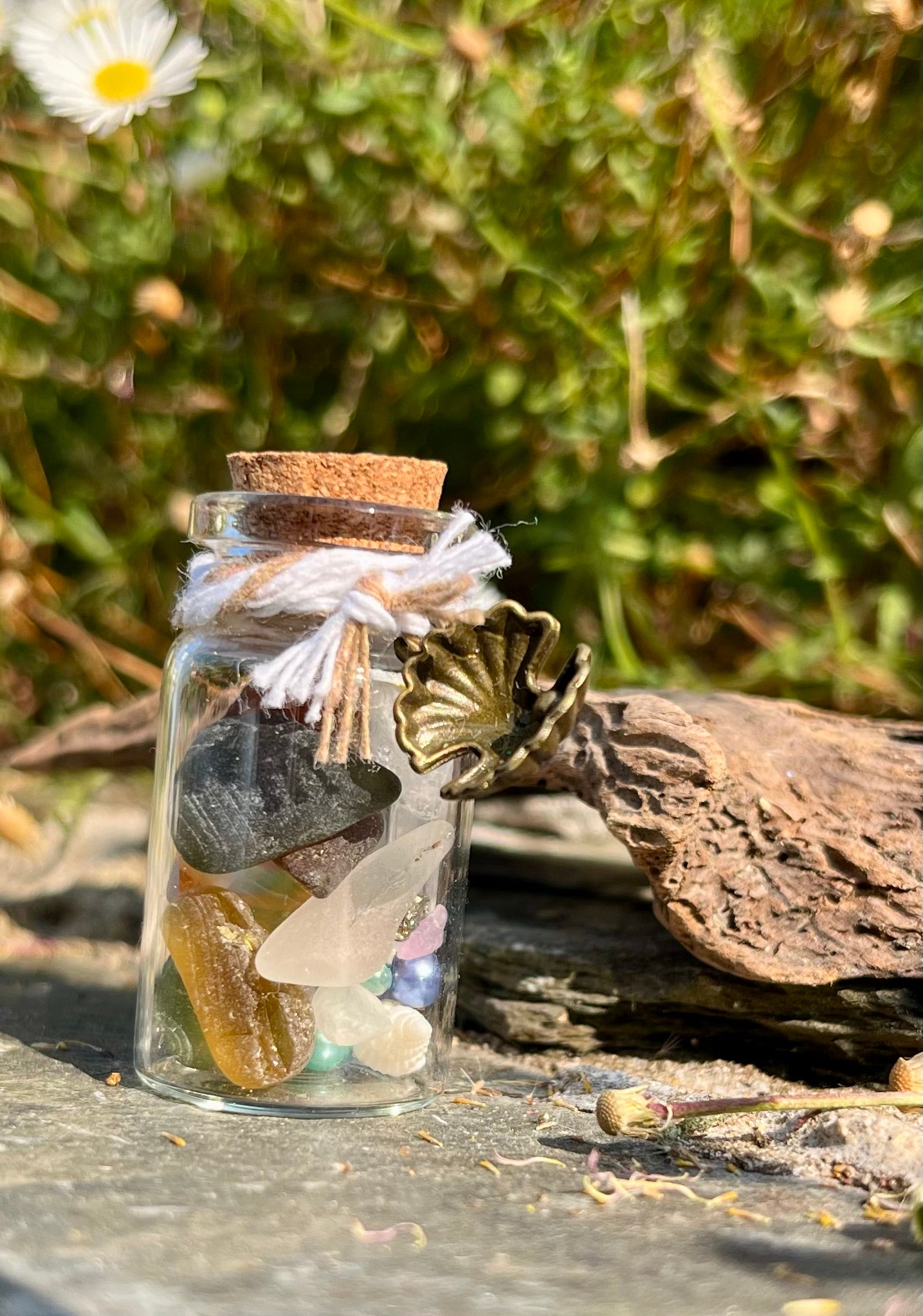 The Rockpool Wish Jar