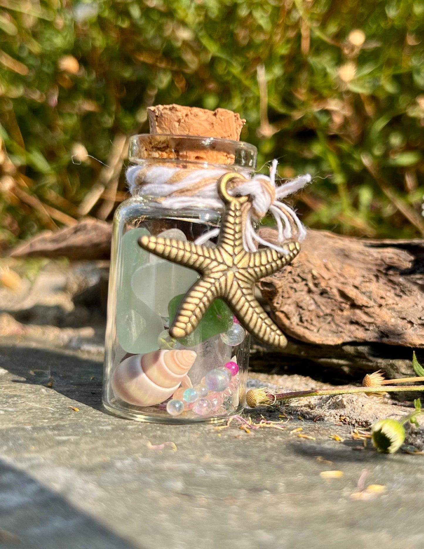 Starfish Wish Jar