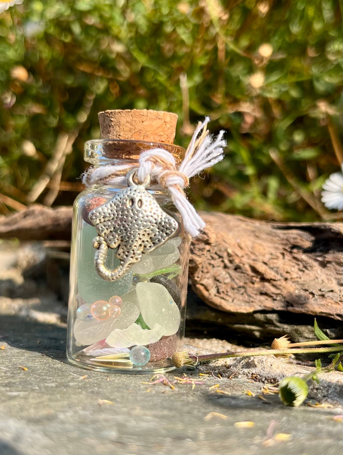 Sting Ray Ocean Wish Jar